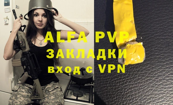 винт Верея