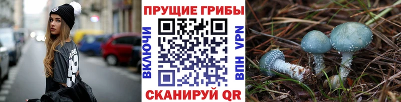 Псилоцибиновые грибы ЛСД  Купить где  Гаврилов-Ям 
